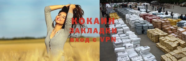 дурь Гатчина