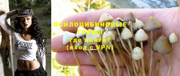 винт Балахна