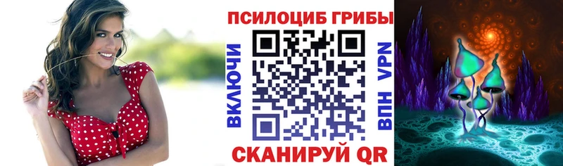 omg вход  Кущёвская  Псилоцибиновые грибы Magic Shrooms  где продают  