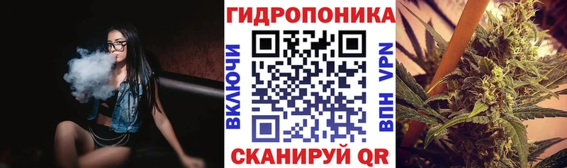 Шишки марихуана OG Kush  где найти наркотики  Кущёвская 